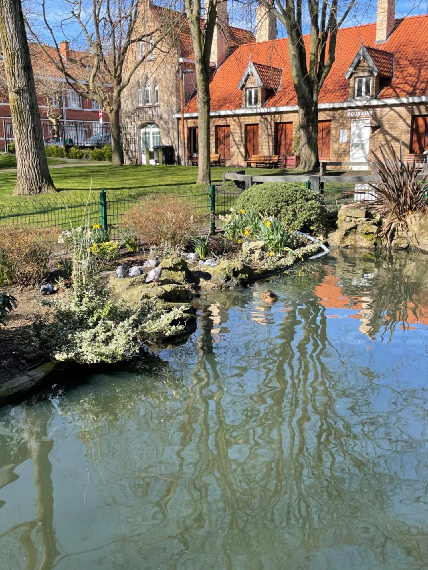 Villa La Petite Malouine Dunkirk Exterior foto
